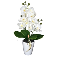 Orkidé i potte - 39 cm